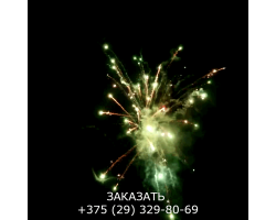 Королевский салют FP-B325-foto3