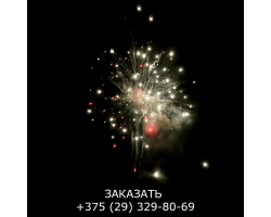 Королевский салют FP-B325-foto4