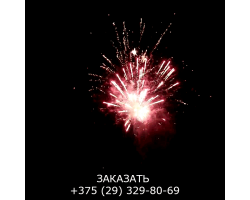 Королевский салют FP-B325-foto5