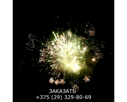 Королевский салют FP-B325-foto6