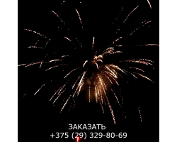 Королевский салют FP-B325-foto7