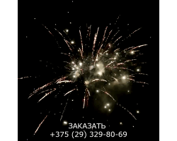 Королевский салют FP-B325-foto9