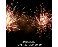 Мегашоу TKB505-foto8