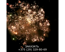 Мегашоу TKB505-foto7
