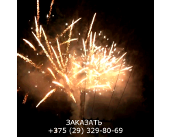 Мегашоу TKB505-foto5