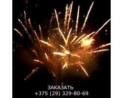 Мегашоу TKB505-foto4