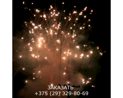 Мегашоу TKB505-foto12