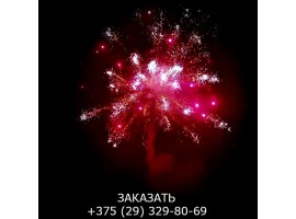 Metal Power SB-100-01 -foto15