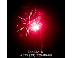 Новогоднее приключение TKB213-foto4