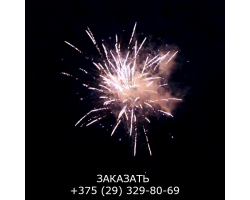 Новогоднее приключение TKB213-foto2