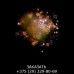 Фейерверк Prehistoric SB-120-01