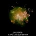 Фейерверк Prehistoric SB-120-01