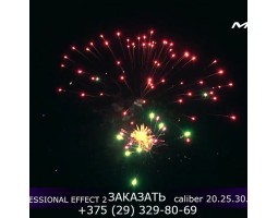 Professional Effect 2 GWM6601-foto5