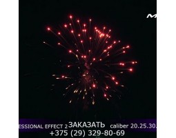 Professional Effect 2 GWM6601-foto7