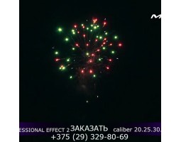 Professional Effect 2 GWM6601-foto4