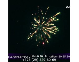 Professional Effect 2 GWM6601-foto8