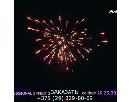 Professional Effect 2 GWM6601-foto9