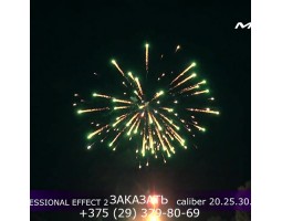 Professional Effect 2 GWM6601-foto2