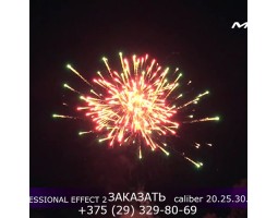 Professional Effect 2 GWM6601-foto3