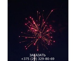 Топ-4 TKB897-foto5