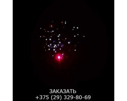 Top Perfect GWM6605-foto14