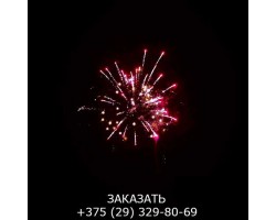 Top Perfect GWM6605-foto13