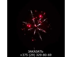 Top Perfect GWM6605-foto11