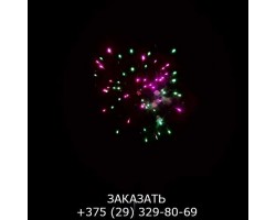 Top Perfect GWM6605-foto10