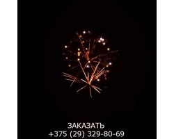 Top Perfect GWM6605-foto9