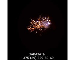 Top Perfect GWM6605-foto8