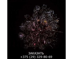 Top Perfect GWM6605-foto5