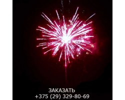 Top Perfect GWM6605-foto4