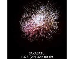 Top Perfect GWM6605-foto2