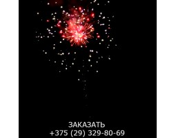 Венера FFW2045-42-foto5