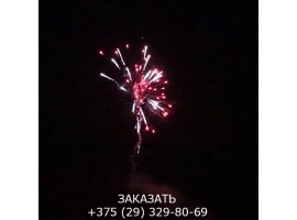 Азарт TKB910-foto8