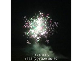 Азарт TKB910-foto11