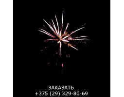 Glamour Night GWM6101-foto11