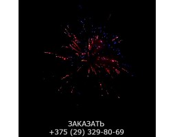 Glamour Night GWM6101-foto9