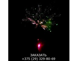 Glamour Night GWM6101-foto7