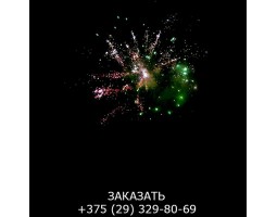 Glamour Night GWM6101-foto6