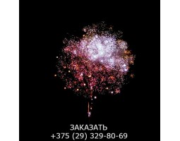 Glamour Night GWM6101-foto5