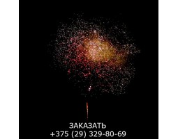 Glamour Night GWM6101-foto4