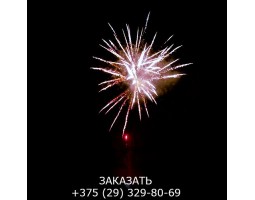 Glamour Night GWM6101-foto3